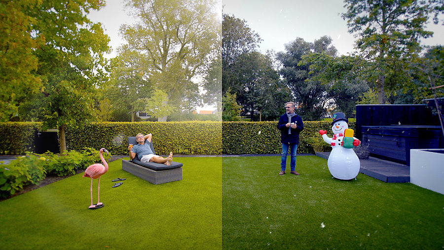 CondorGrass ColorShift