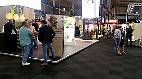 Sfeerbeeld InCoDa21n