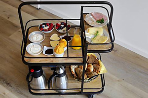 Ambassador PVC in visgraatvariant