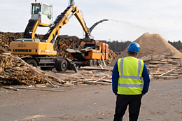 Hout uit duurzame bosbouw