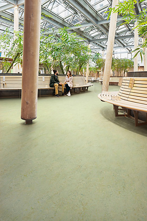 Toepassing van Marmoleum de Topshield pro afwerking van Forbo Flooring